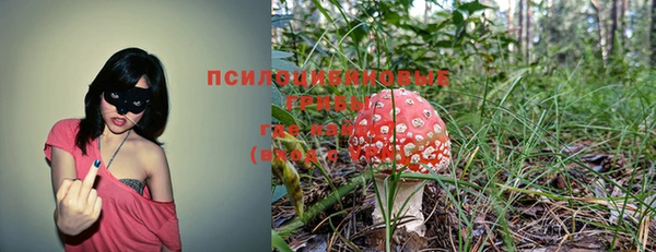 дмт Балабаново