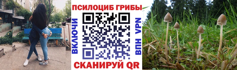 Псилоцибиновые грибы Psilocybine cubensis  даркнет сайт  Сосновый Бор 